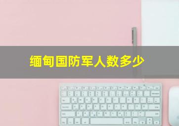 缅甸国防军人数多少