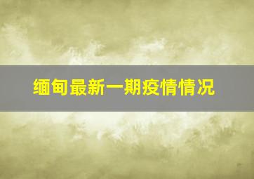 缅甸最新一期疫情情况