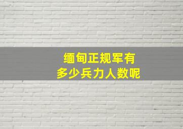 缅甸正规军有多少兵力人数呢