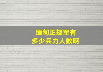 缅甸正规军有多少兵力人数啊