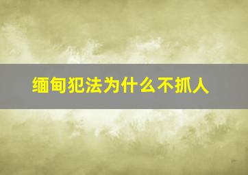 缅甸犯法为什么不抓人