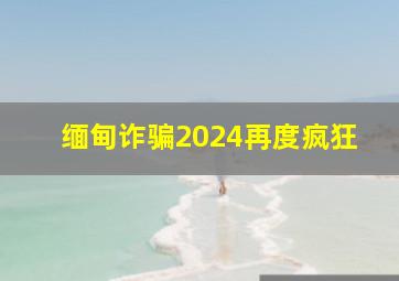 缅甸诈骗2024再度疯狂