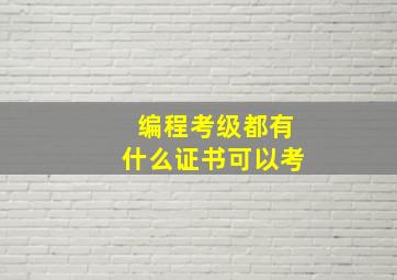 编程考级都有什么证书可以考