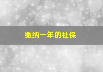 缴纳一年的社保