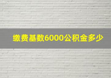 缴费基数6000公积金多少