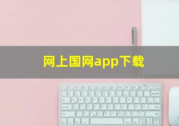 网上国网app下载