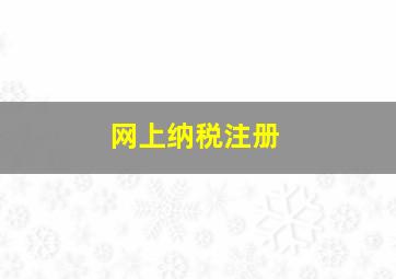 网上纳税注册