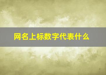 网名上标数字代表什么