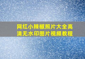 网红小辣椒照片大全高清无水印图片视频教程