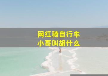 网红骑自行车小哥叫胡什么