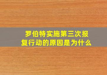 罗伯特实施第三次报复行动的原因是为什么