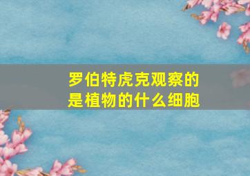 罗伯特虎克观察的是植物的什么细胞