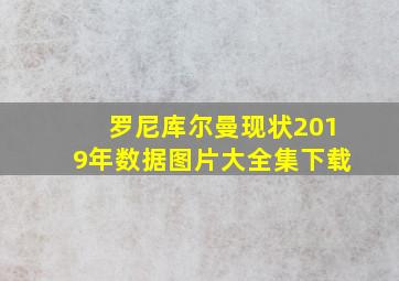 罗尼库尔曼现状2019年数据图片大全集下载