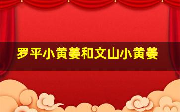 罗平小黄姜和文山小黄姜