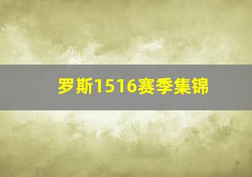 罗斯1516赛季集锦