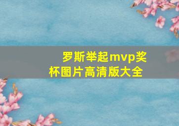 罗斯举起mvp奖杯图片高清版大全