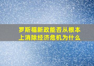 罗斯福新政能否从根本上消除经济危机为什么