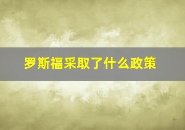 罗斯福采取了什么政策