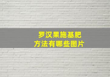 罗汉果施基肥方法有哪些图片