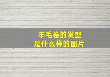 羊毛卷的发型是什么样的图片