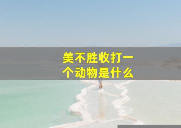 美不胜收打一个动物是什么