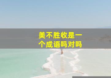 美不胜收是一个成语吗对吗