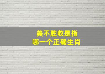 美不胜收是指哪一个正确生肖