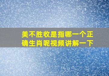 美不胜收是指哪一个正确生肖呢视频讲解一下