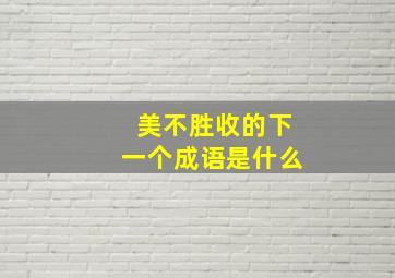 美不胜收的下一个成语是什么