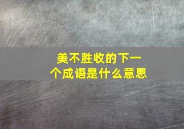 美不胜收的下一个成语是什么意思