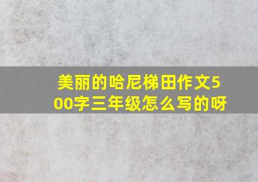 美丽的哈尼梯田作文500字三年级怎么写的呀