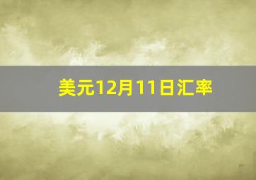 美元12月11日汇率