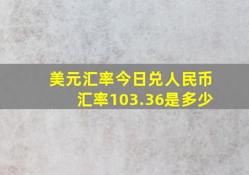 美元汇率今日兑人民币汇率103.36是多少