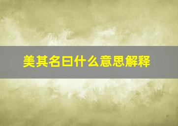 美其名曰什么意思解释