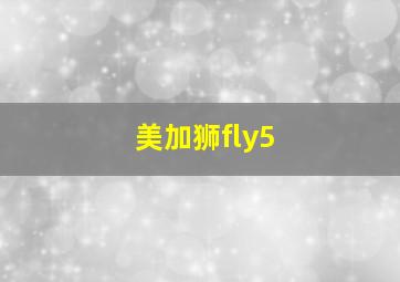 美加狮fly5