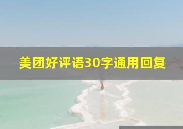 美团好评语30字通用回复