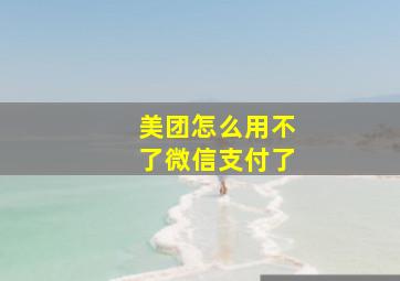 美团怎么用不了微信支付了