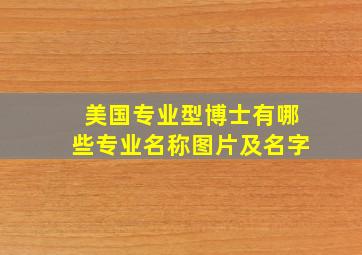 美国专业型博士有哪些专业名称图片及名字