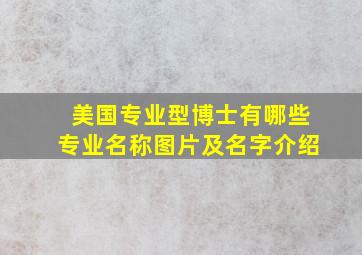 美国专业型博士有哪些专业名称图片及名字介绍