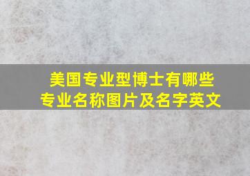 美国专业型博士有哪些专业名称图片及名字英文