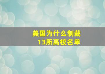 美国为什么制裁13所高校名单