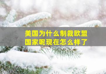 美国为什么制裁欧盟国家呢现在怎么样了