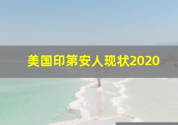 美国印第安人现状2020