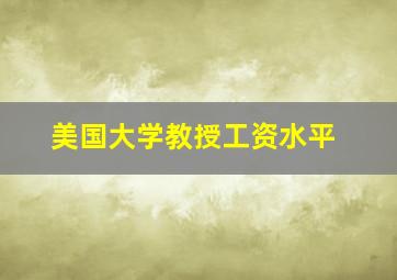 美国大学教授工资水平