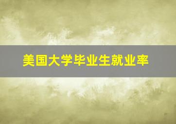 美国大学毕业生就业率