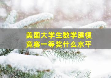 美国大学生数学建模竞赛一等奖什么水平