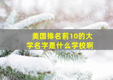 美国排名前10的大学名字是什么学校啊