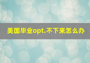 美国毕业opt.不下来怎么办