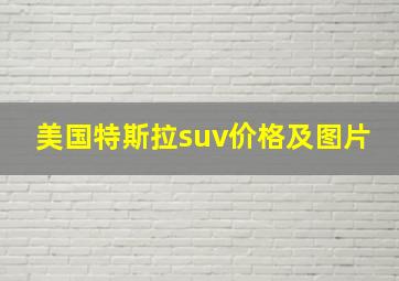 美国特斯拉suv价格及图片