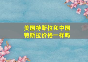 美国特斯拉和中国特斯拉价格一样吗